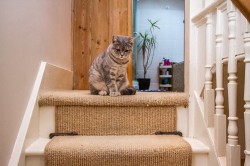 Images for Norton Terrace, Newhaven
