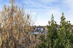 Images for Sutton Drove, Seaford