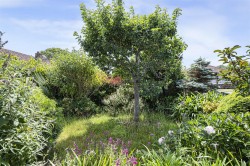 Images for Pevensey Close, Seaford